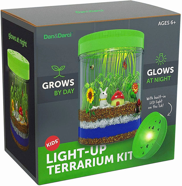 Light-Up Terrarium Kit (Case of 4)